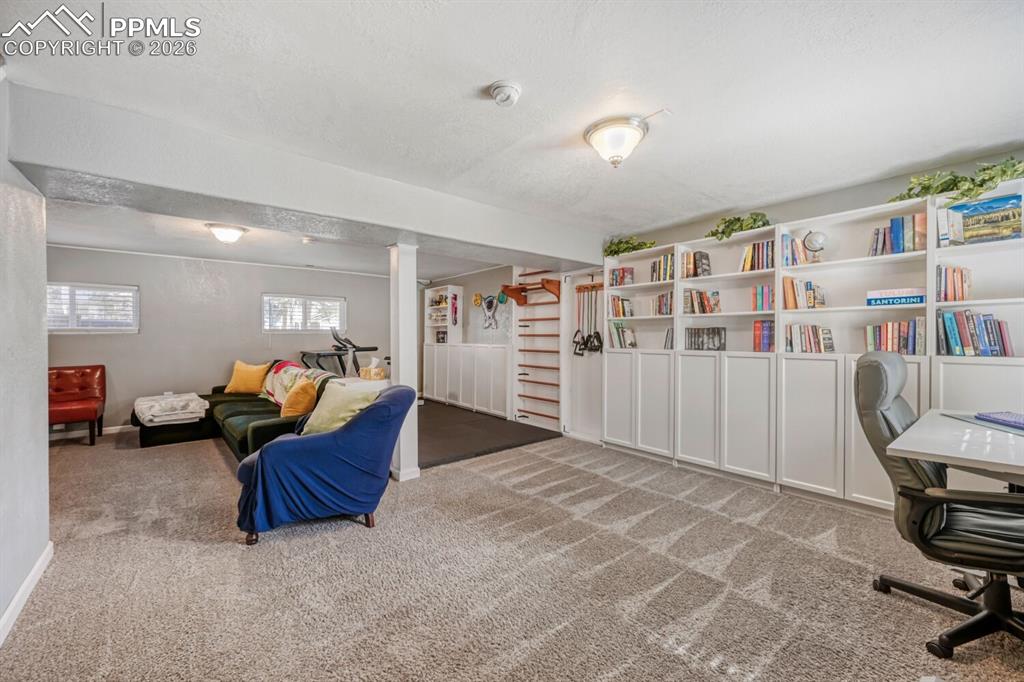 1005 W Browning Avenue Woodland Park CO 80863