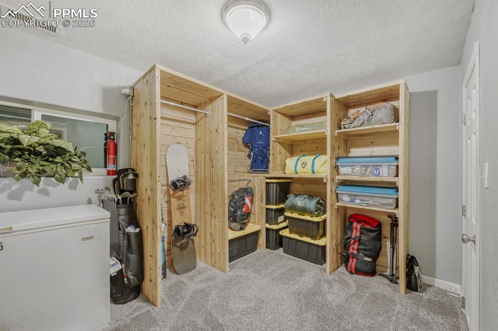 1005 W Browning Avenue Woodland Park CO 80863