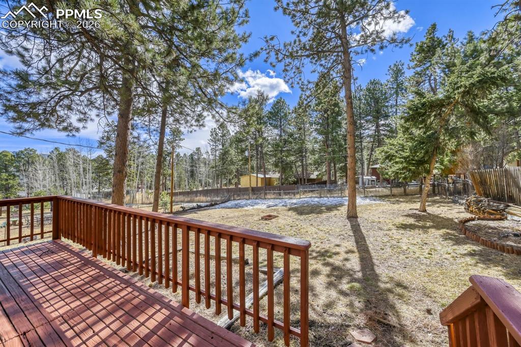 1005 W Browning Avenue Woodland Park CO 80863