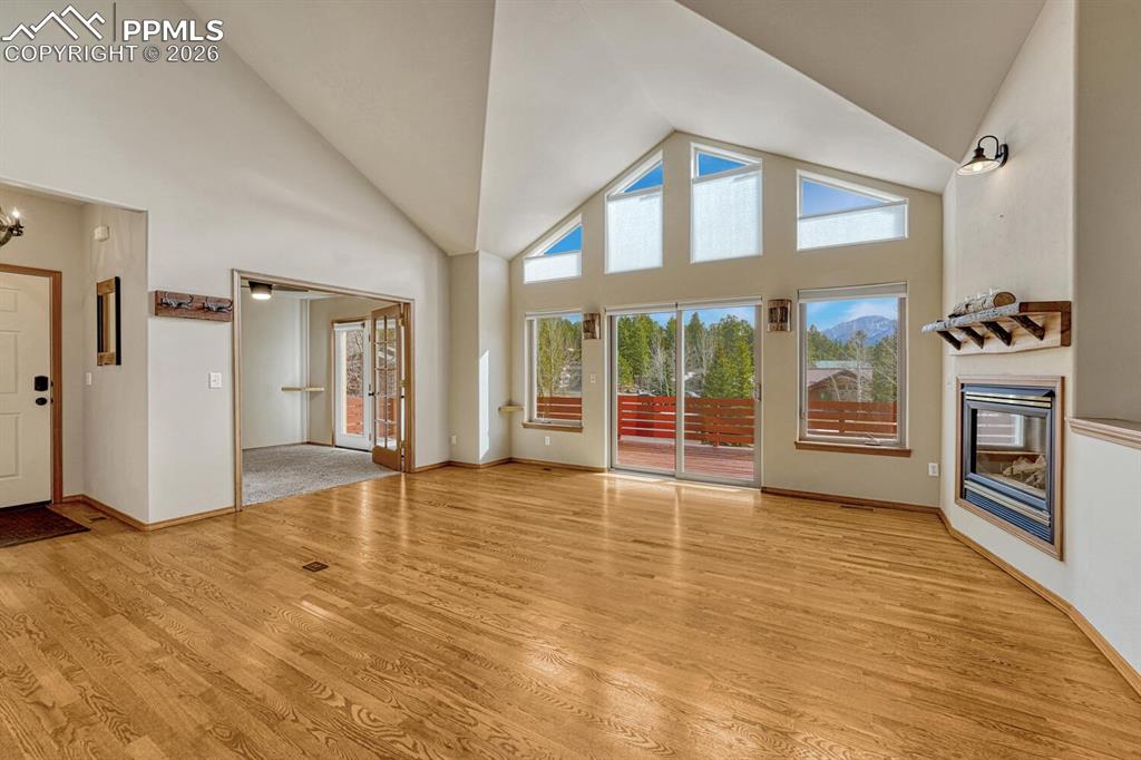 131 Golden Court Woodland Park CO 80863