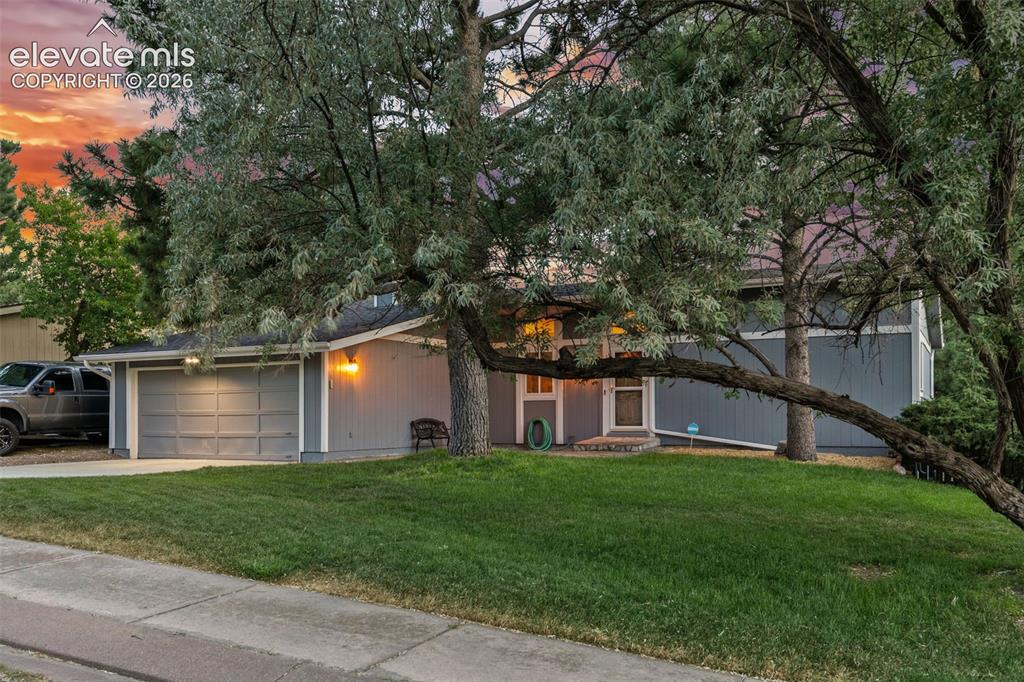 5167 Bitterweed Lane Colorado Springs CO 80917