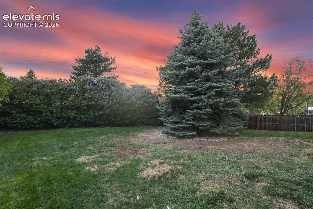 5167 Bitterweed Lane Colorado Springs CO 80917