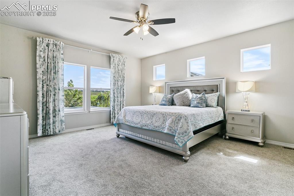 6350 Stonefly Drive Colorado Springs CO 80924