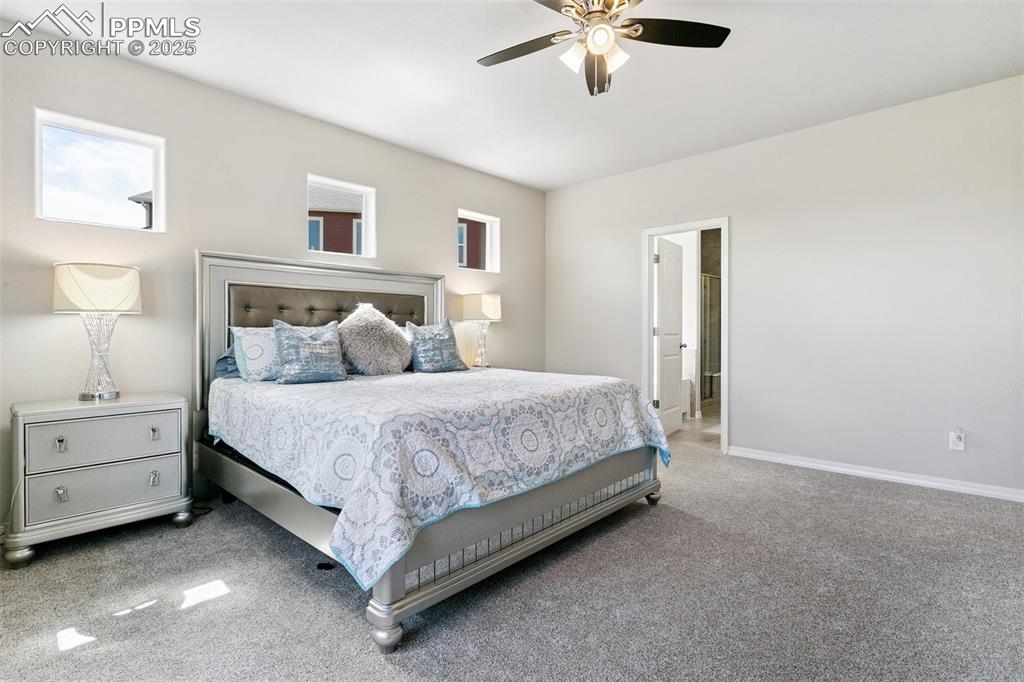 6350 Stonefly Drive Colorado Springs CO 80924