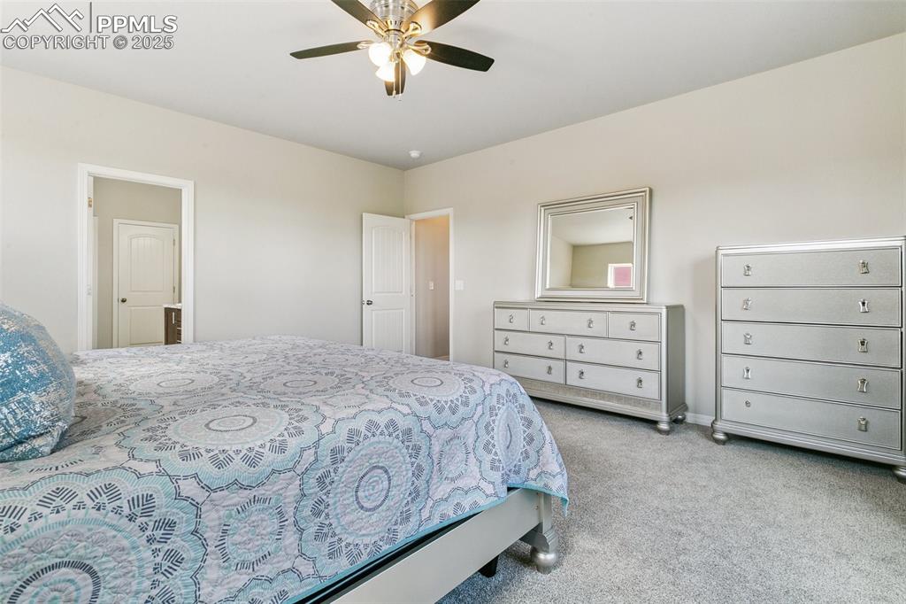 6350 Stonefly Drive Colorado Springs CO 80924