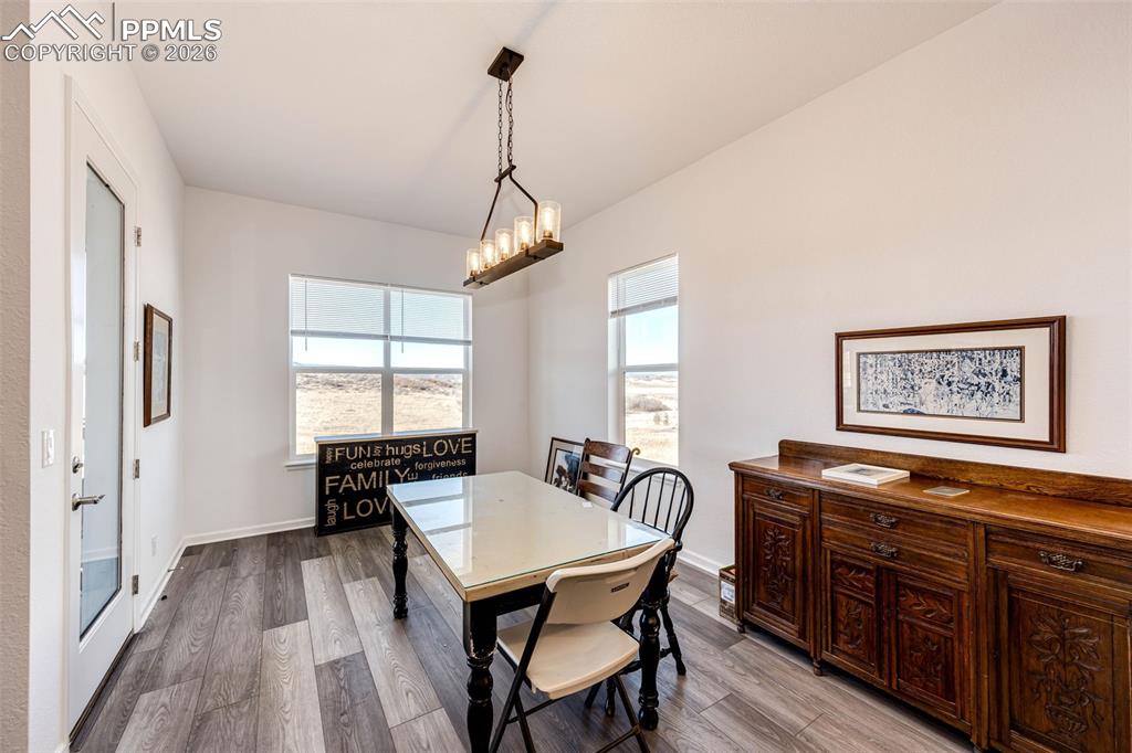 5681 Water Avens Drive Castle Rock CO 80104