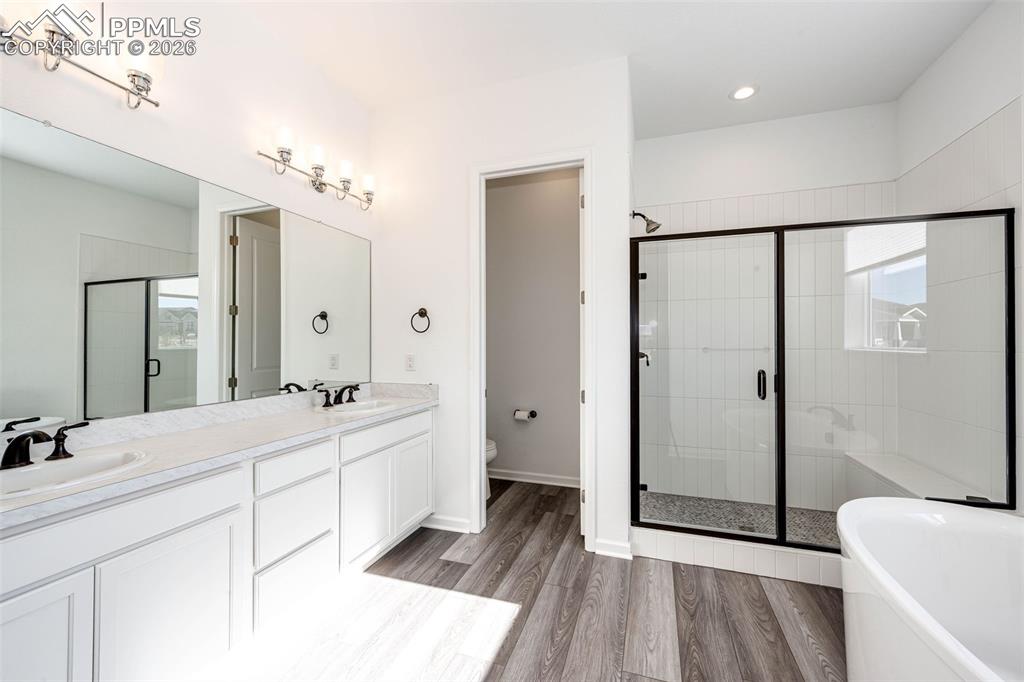5681 Water Avens Drive Castle Rock CO 80104