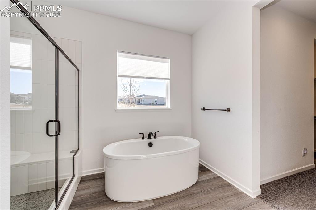 5681 Water Avens Drive Castle Rock CO 80104