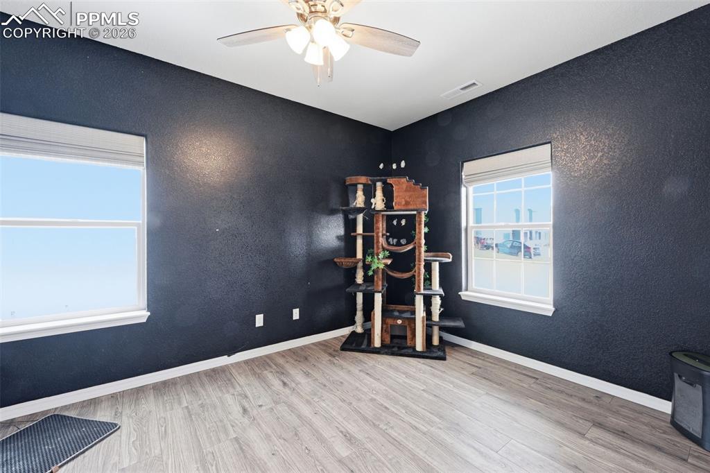 8296 Ansley Court Peyton CO 80831