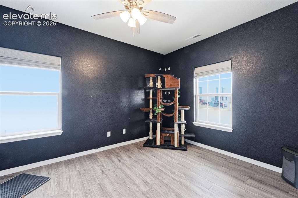 8296 Ansley Court Peyton CO 80831