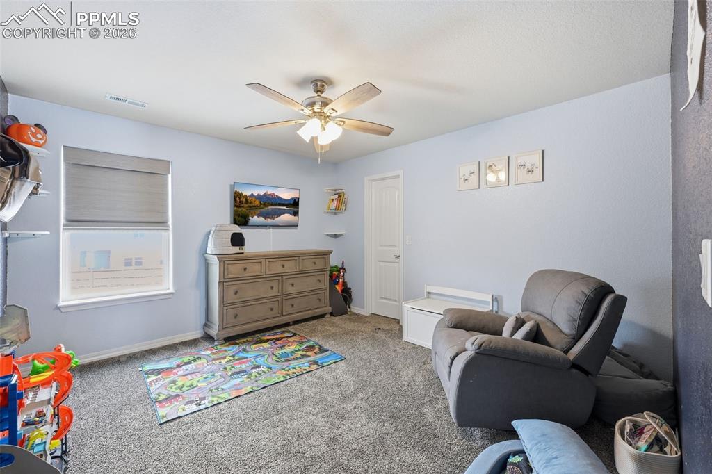8296 Ansley Court Peyton CO 80831