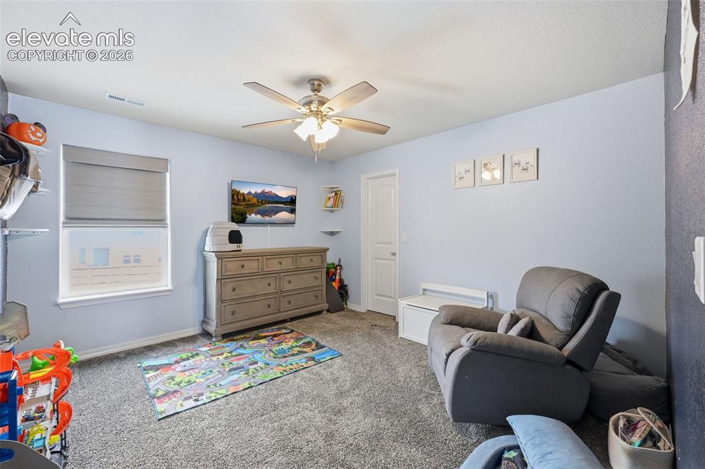 8296 Ansley Court Peyton CO 80831
