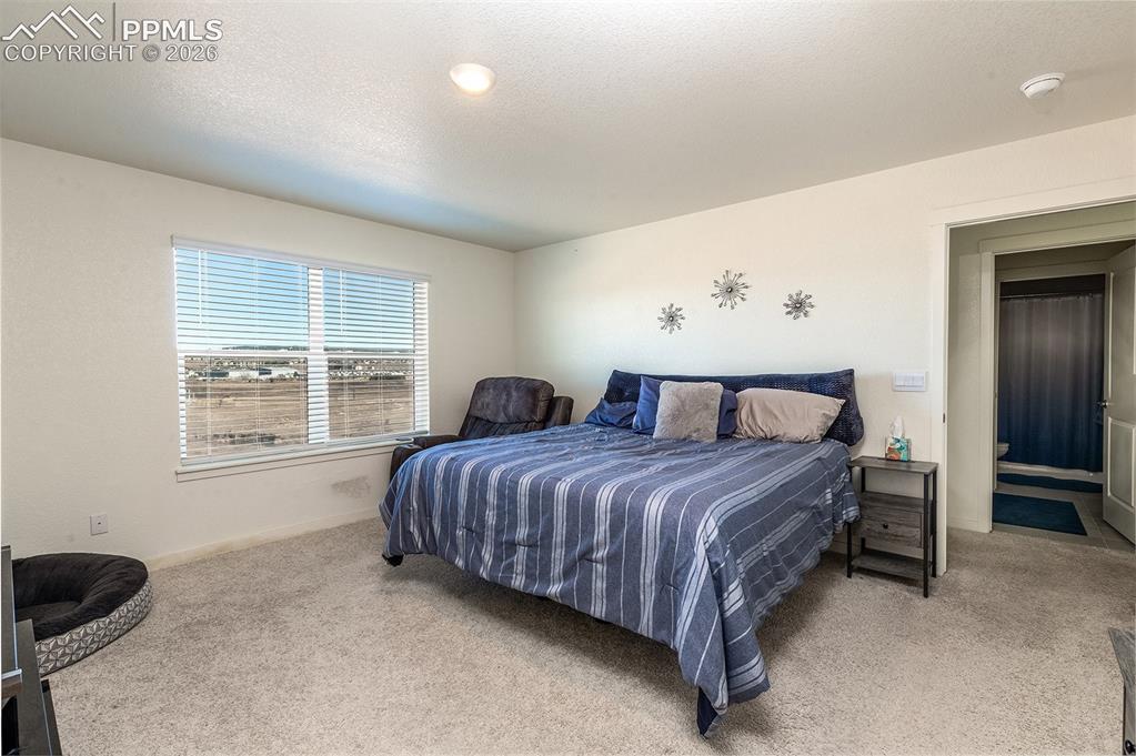 15898 Little Bluestem Road Monument CO 80132