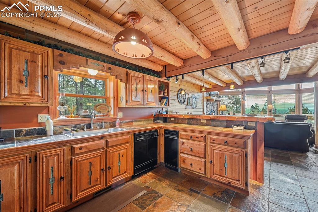 3613 Trail Creek Road Florissant CO 80816
