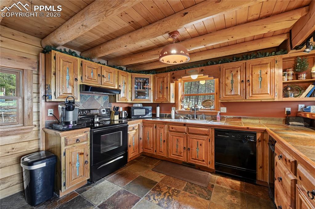 3613 Trail Creek Road Florissant CO 80816