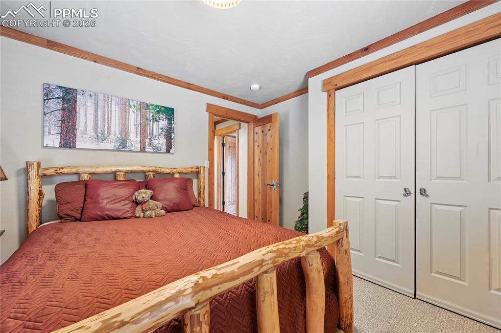 3613 Trail Creek Road Florissant CO 80816