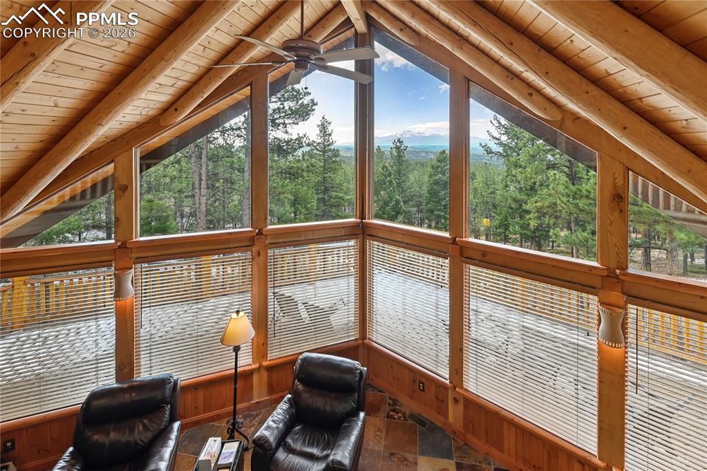 3613 Trail Creek Road Florissant CO 80816
