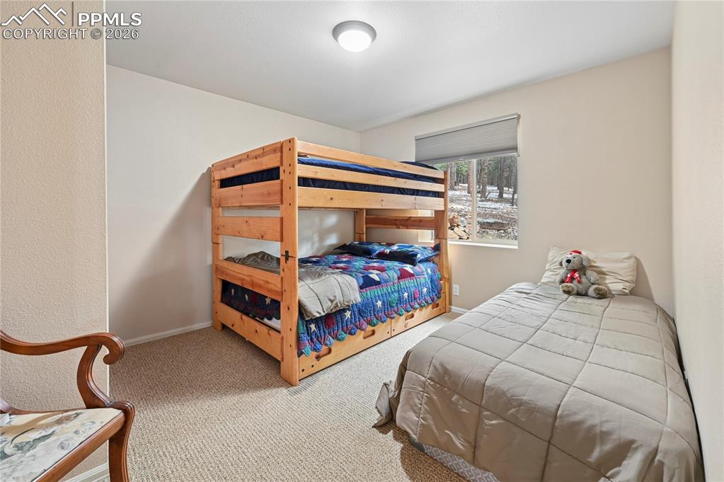 3613 Trail Creek Road Florissant CO 80816