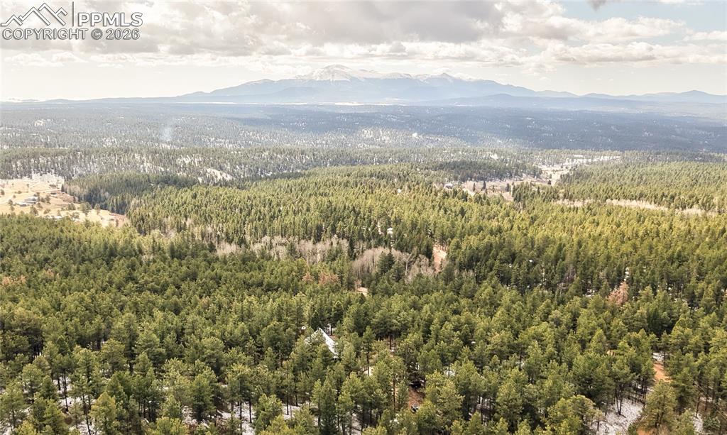 3613 Trail Creek Road Florissant CO 80816