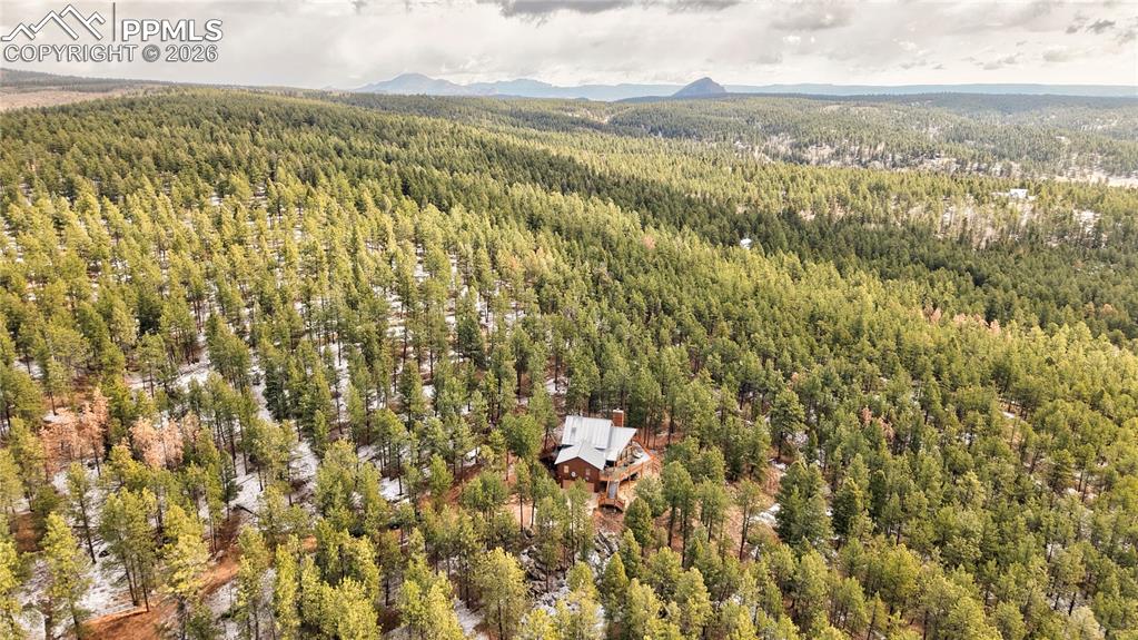 3613 Trail Creek Road Florissant CO 80816