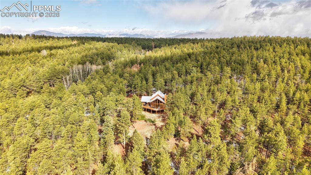 3613 Trail Creek Road Florissant CO 80816