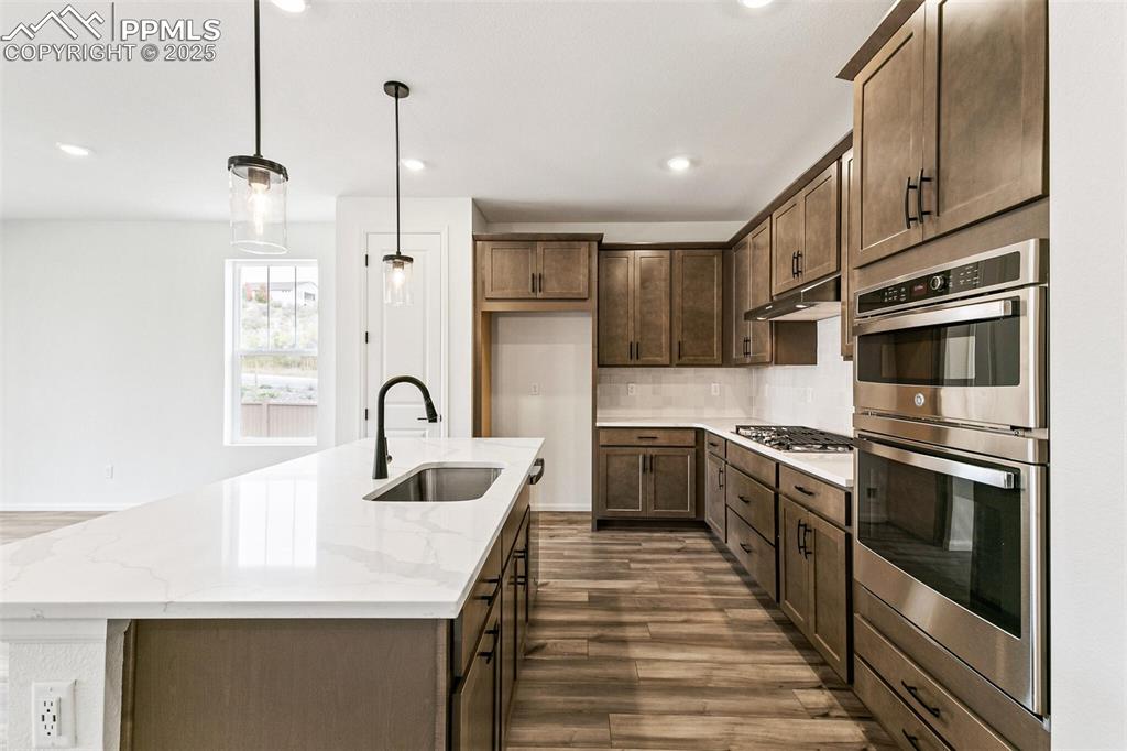 4469 Soapberry Place Castle Rock CO 80108