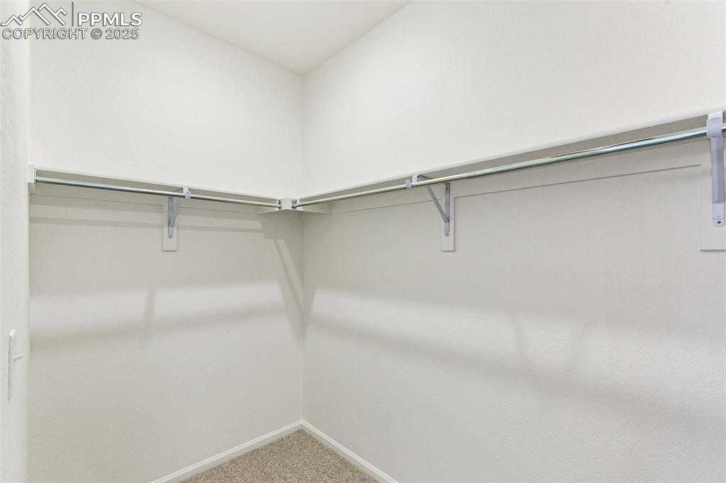 4469 Soapberry Place Castle Rock CO 80108