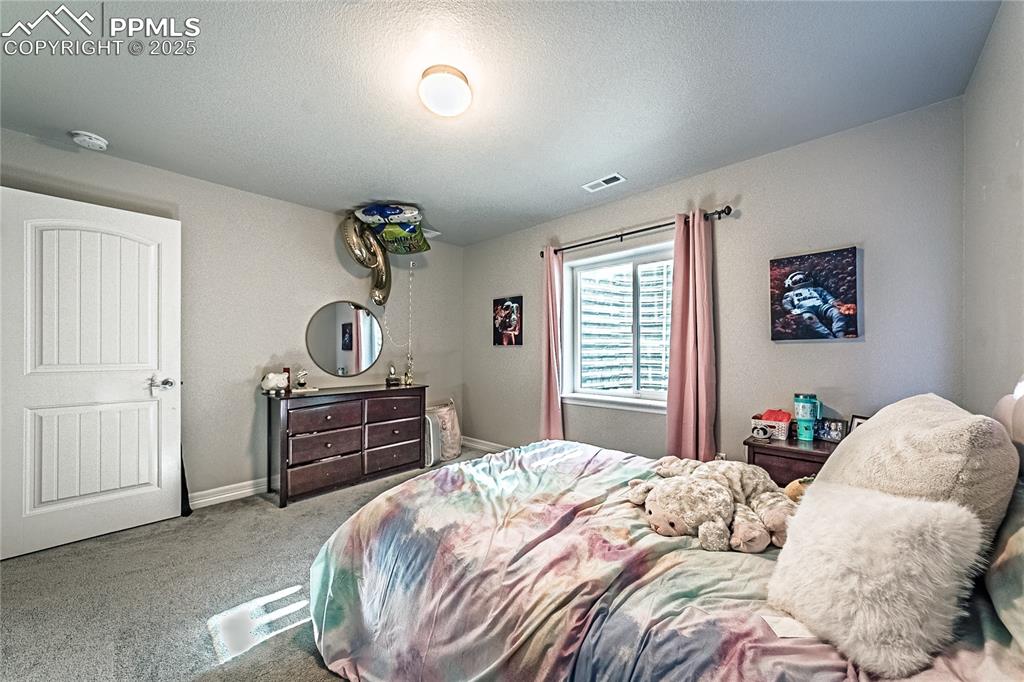 13256 Park Meadows Drive Peyton CO 80831