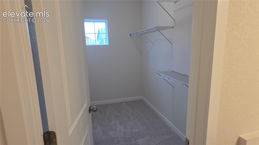 5355 Hodges Grove Colorado Springs CO 80925