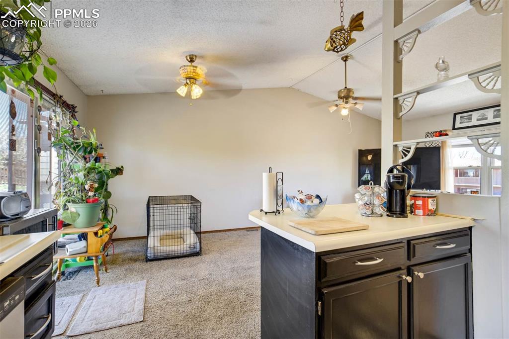 3850 Rosemere Street Colorado Springs CO 80906