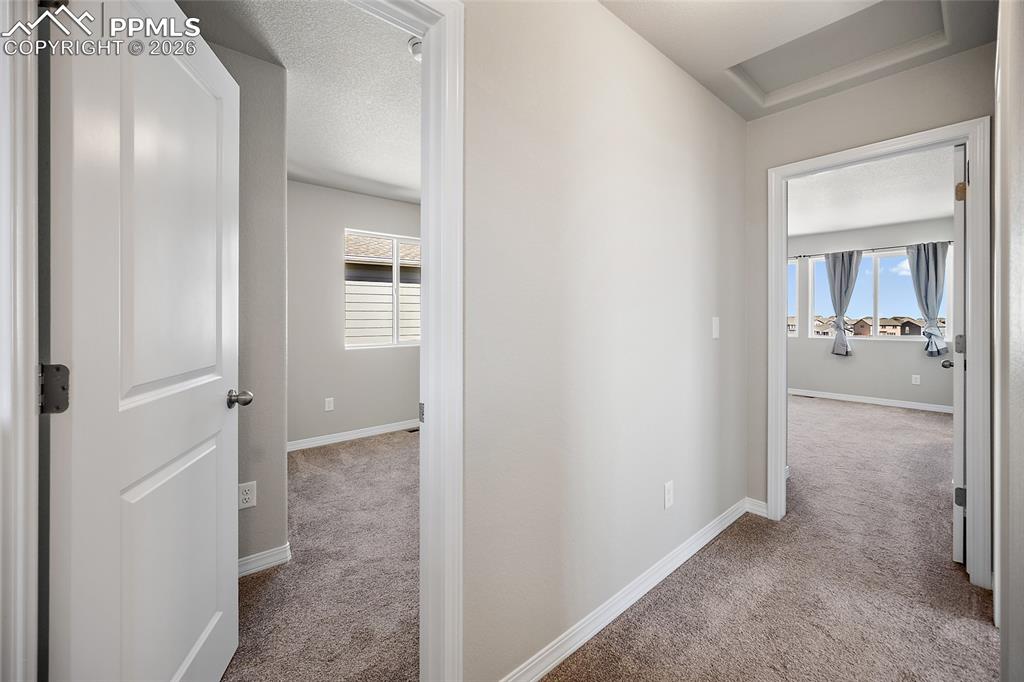 7972 Jayla Trail Colorado Springs CO 80908