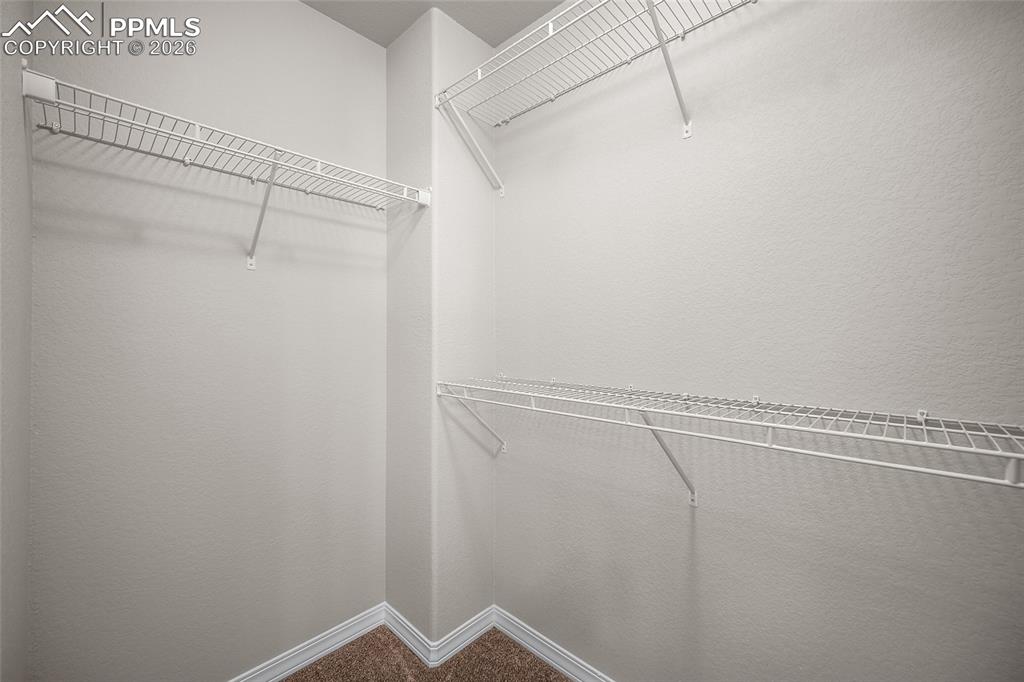 7972 Jayla Trail Colorado Springs CO 80908