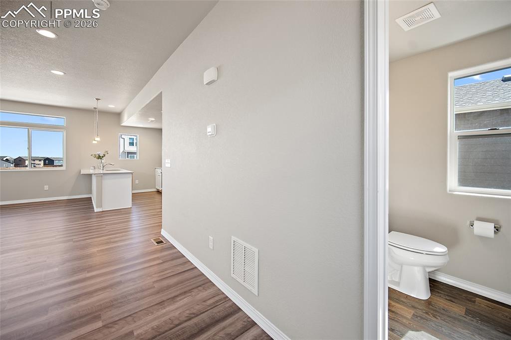 7972 Jayla Trail Colorado Springs CO 80908