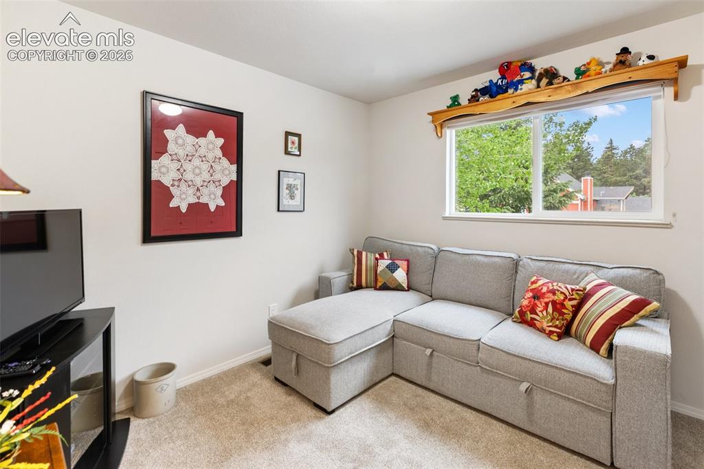 100 Chulita Senda Street Woodland Park CO 80863