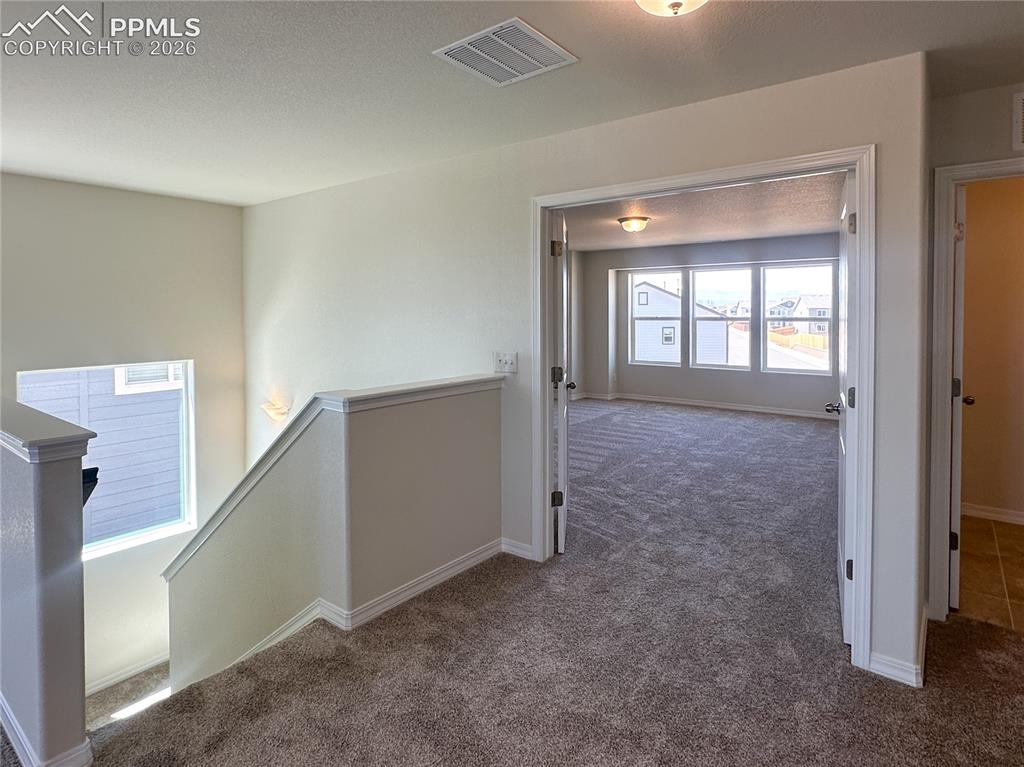 8274 Henzlee Place Falcon CO 80831