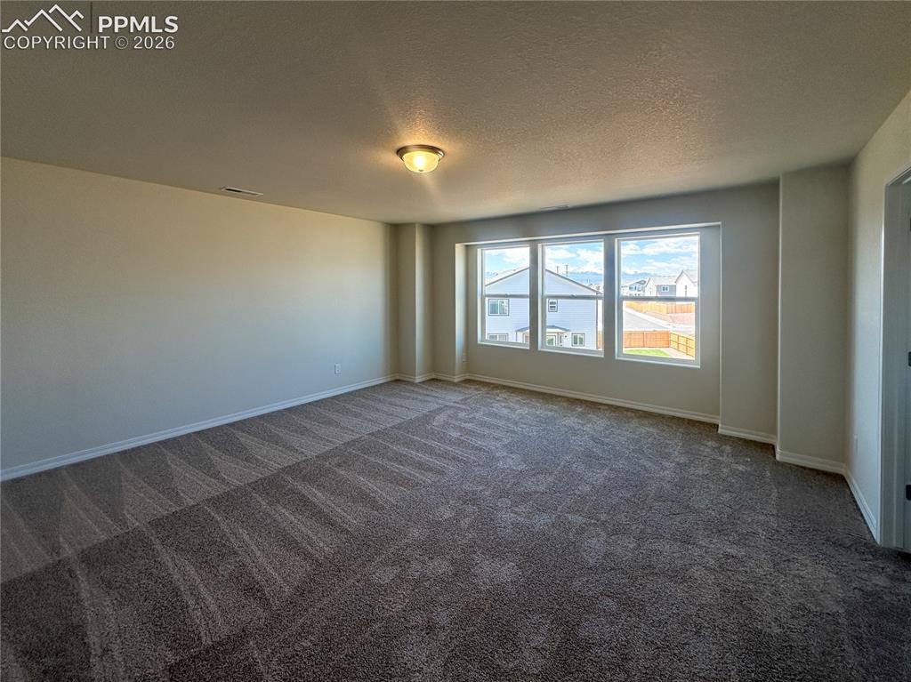 8274 Henzlee Place Falcon CO 80831