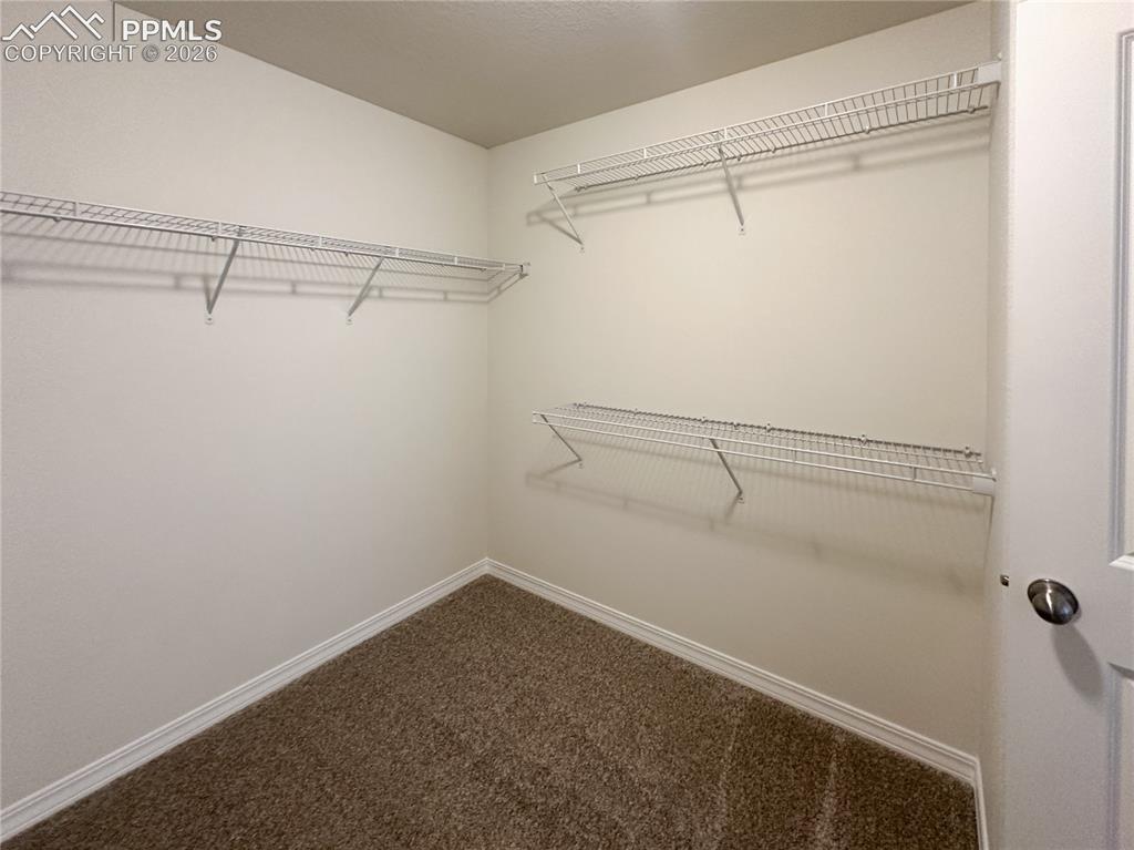 8274 Henzlee Place Falcon CO 80831