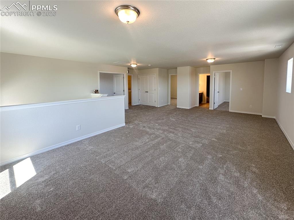 8274 Henzlee Place Falcon CO 80831