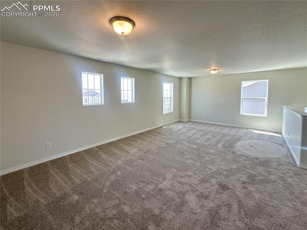 8274 Henzlee Place Falcon CO 80831
