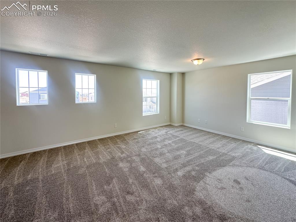 8274 Henzlee Place Falcon CO 80831