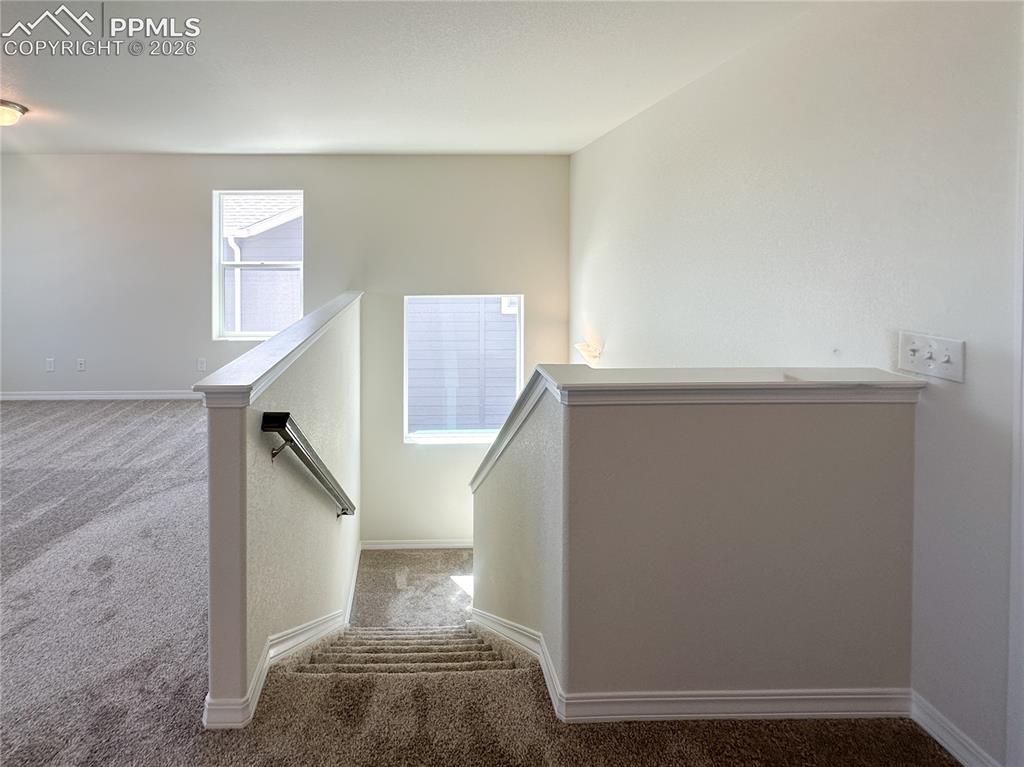 8274 Henzlee Place Falcon CO 80831