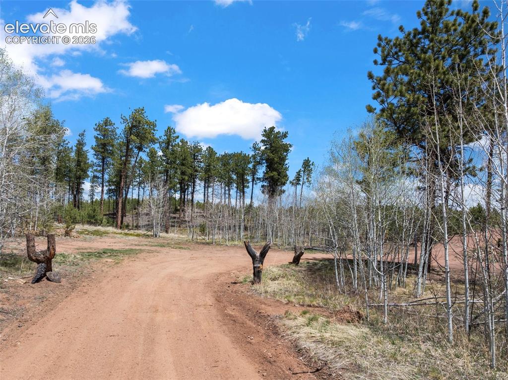 100 Wolverine Drive Florissant CO 80816