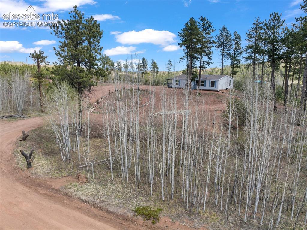 100 Wolverine Drive Florissant CO 80816