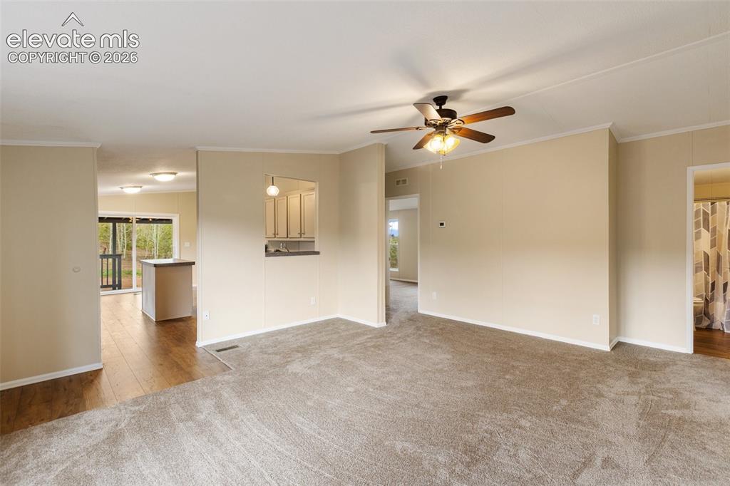 100 Wolverine Drive Florissant CO 80816