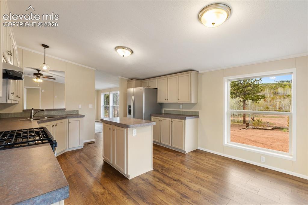100 Wolverine Drive Florissant CO 80816