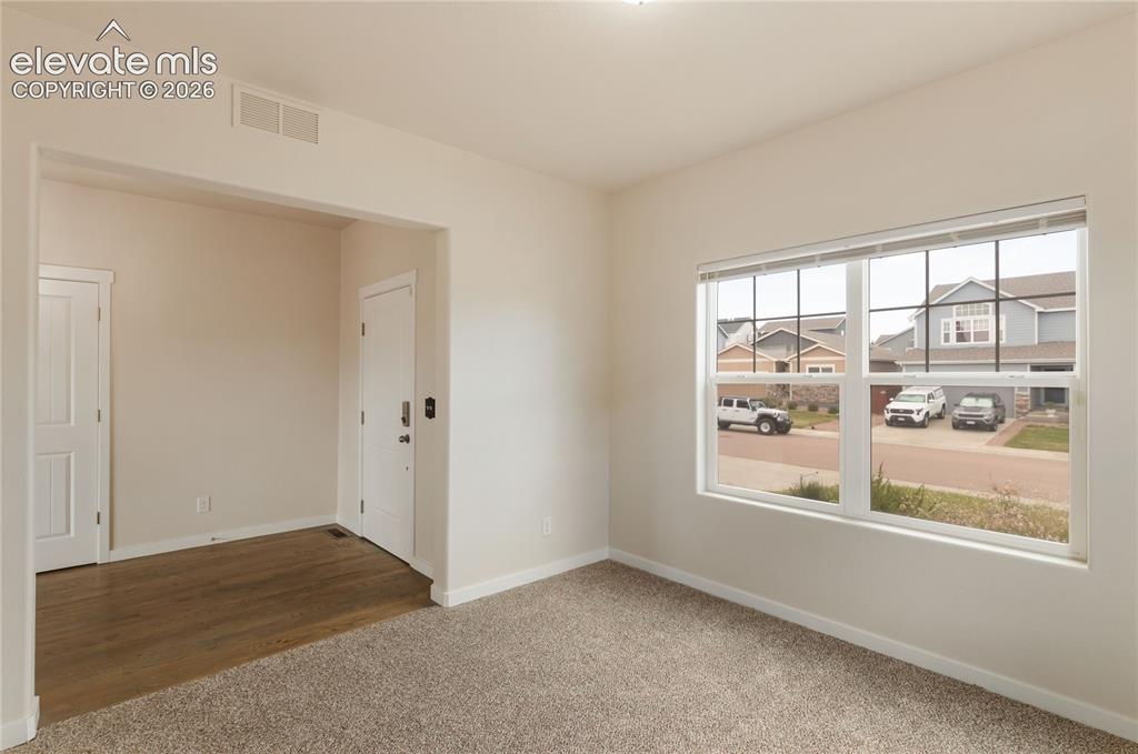 7352 Bigtooth Maple Drive Colorado Springs CO 80925