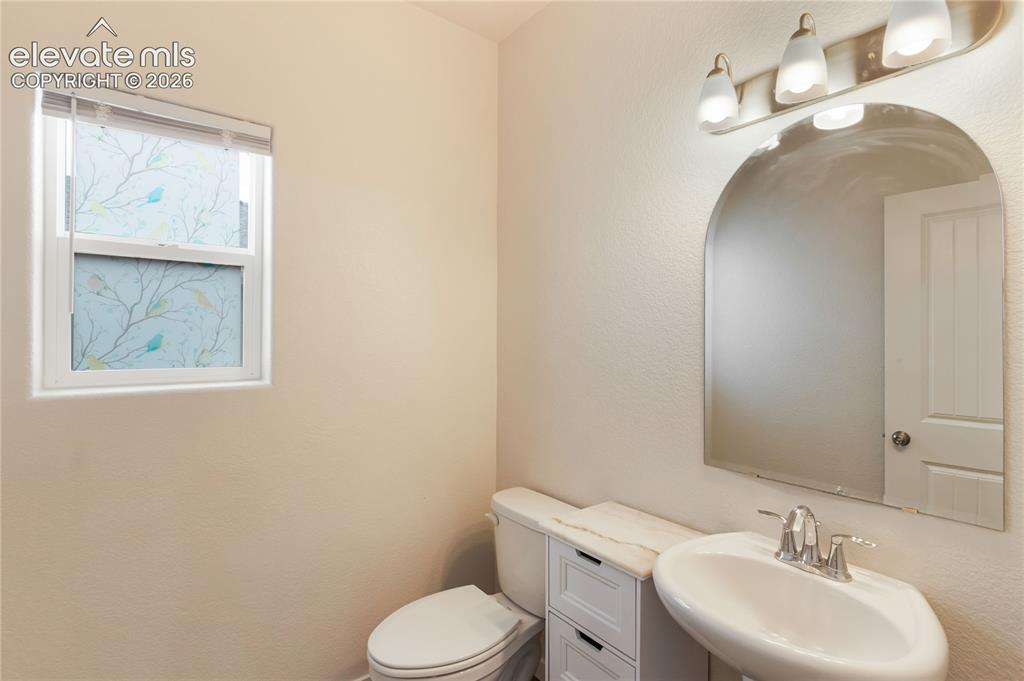 7352 Bigtooth Maple Drive Colorado Springs CO 80925