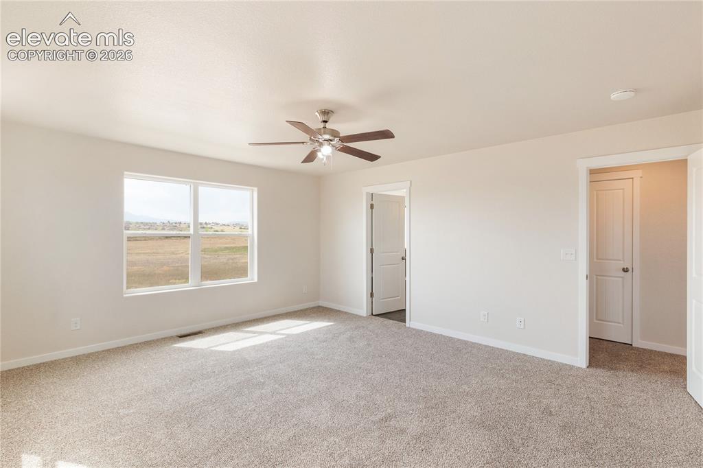 7352 Bigtooth Maple Drive Colorado Springs CO 80925