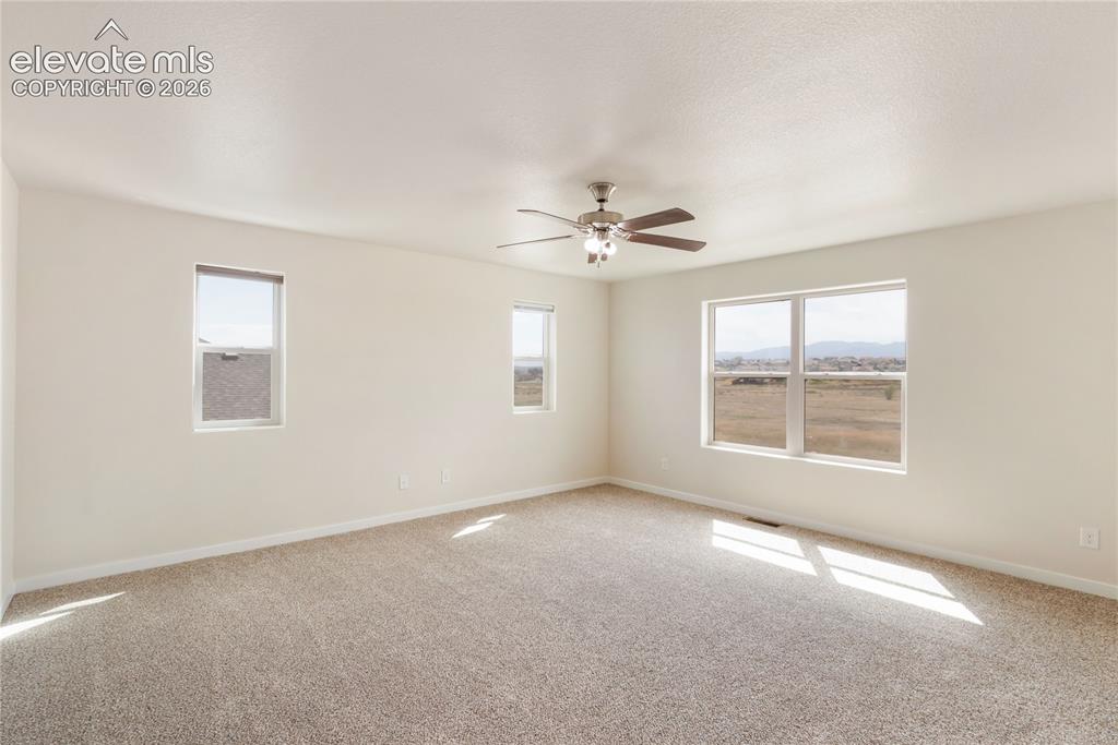 7352 Bigtooth Maple Drive Colorado Springs CO 80925