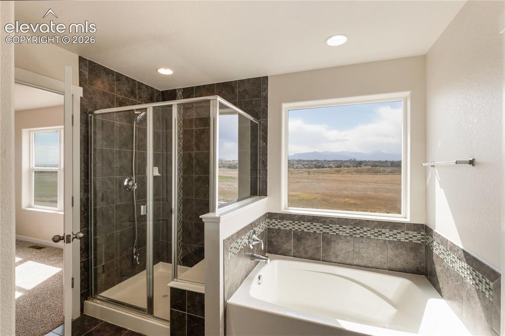 7352 Bigtooth Maple Drive Colorado Springs CO 80925